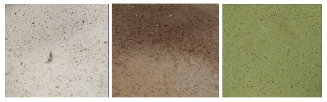 Desarrollo sostenible