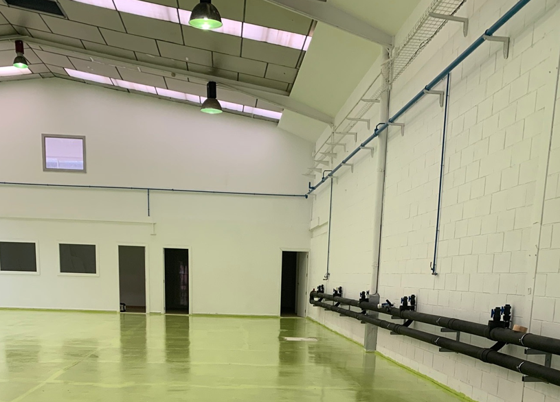 NUEVA PLANTA DE PRODUCCIÓN